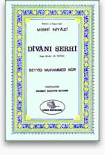 Divân-ı Şerhi
